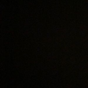 Meet your Posher, Lilli